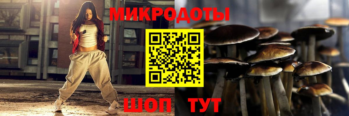 Псилоцибиновые грибы Cubensis Сегежа