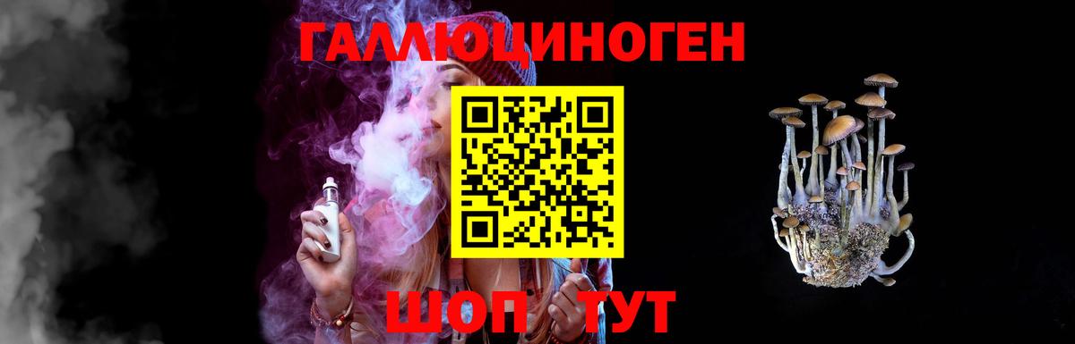 Сегежа  Псилоцибиновые грибы Cubensis  Вход с VPN 